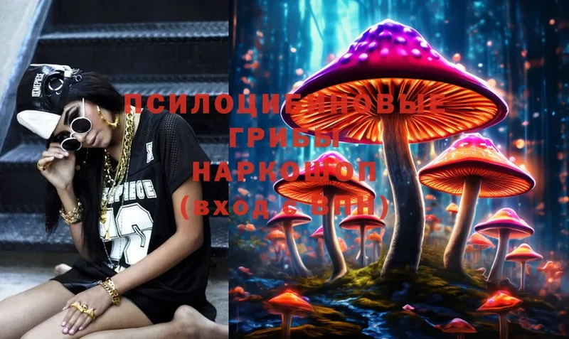 Галлюциногенные грибы Magic Shrooms  Рассказово 